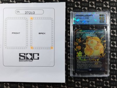 SN37313