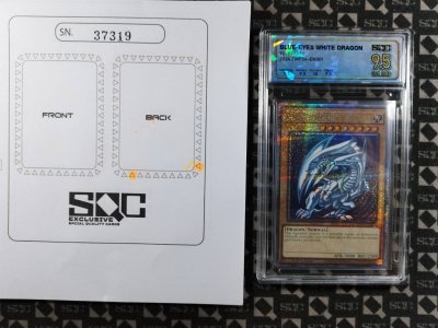 SN37319