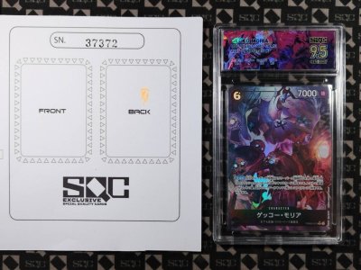 SN37372