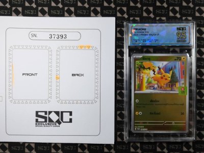 SN37393