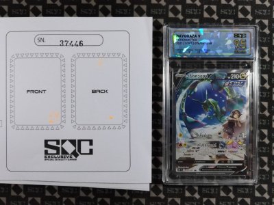 SN37446