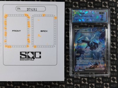 SN37481