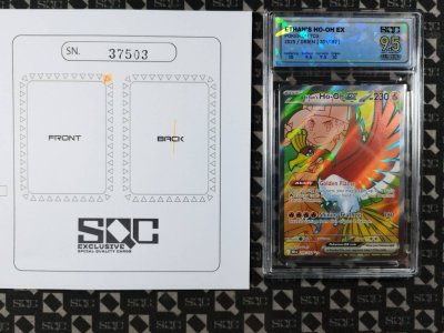 SN37503