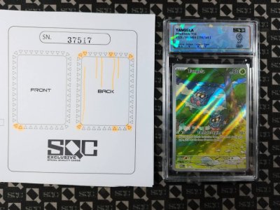 SN37517