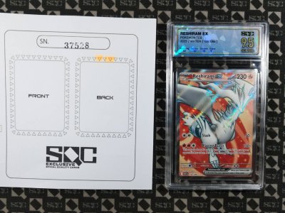 SN37528