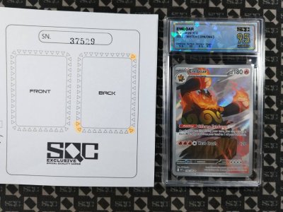 SN37529