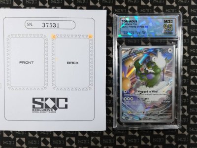 SN37531
