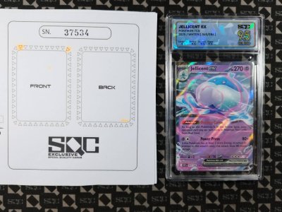 SN37534
