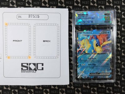 SN37535