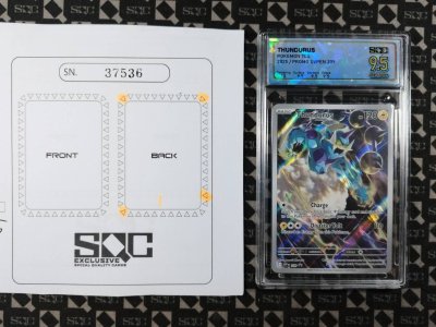 SN37536