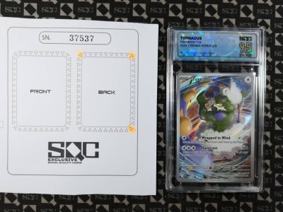 SN37537