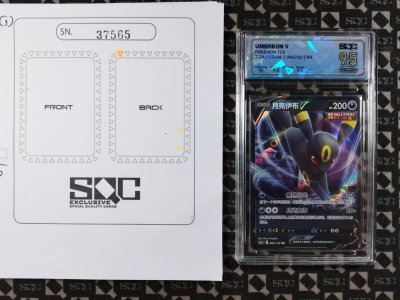 SN37565
