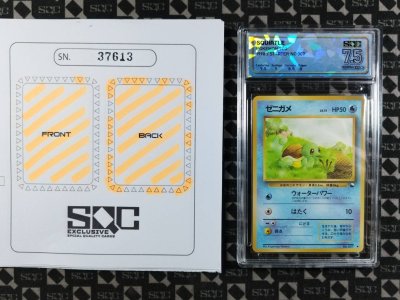 SN37613