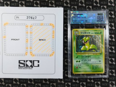 SN37617