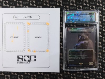SN37876