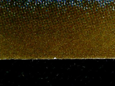 SN32073