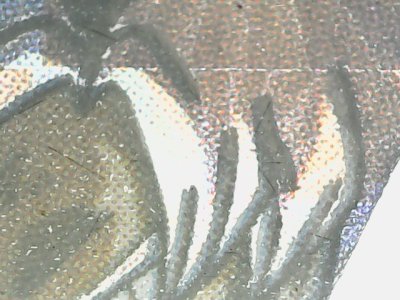 SN32113