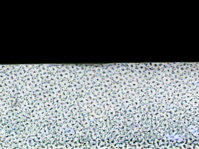 SN32614