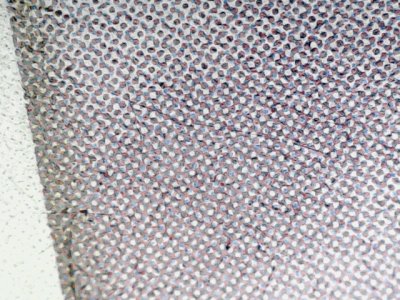 SN32619