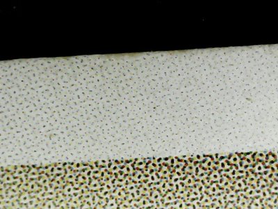 SN32623