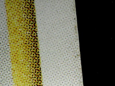 SN32623