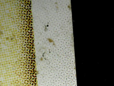 SN32623