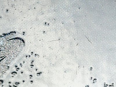 SN32624
