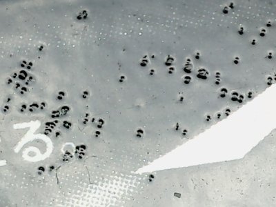 SN32624