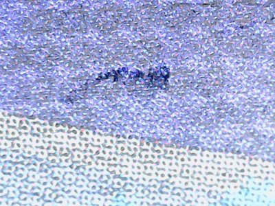 SN32625