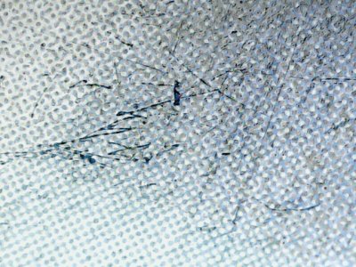 SN32625