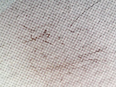 SN32625