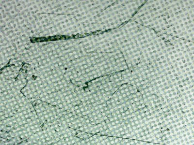 SN32625