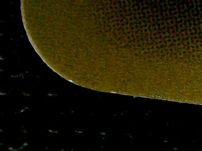 SN32630