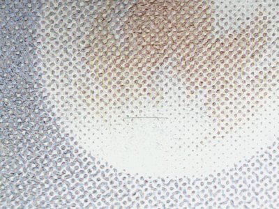 SN32633