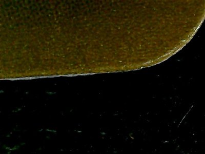 SN32634