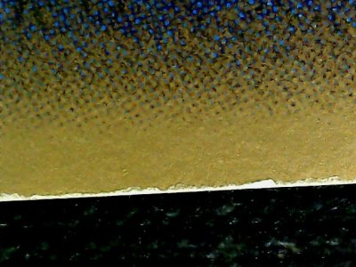 SN32637
