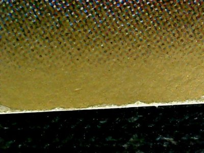 SN32637