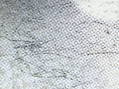 SN32642