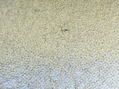 SN32761