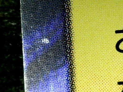 SN32981