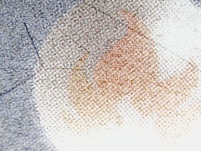 SN32981