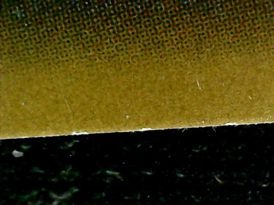 SN32981
