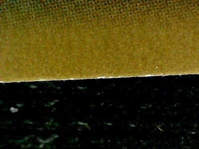 SN32981