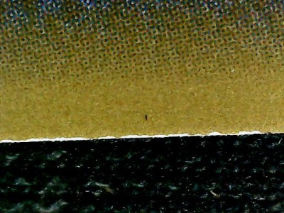 SN32999