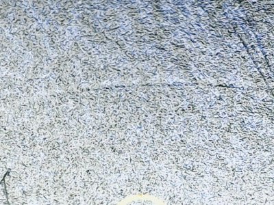 SN32999