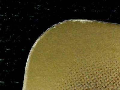 SN33004
