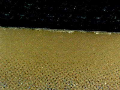 SN33004
