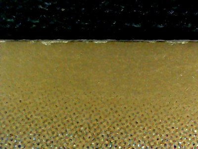SN33004