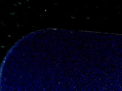SN33497