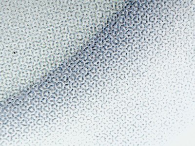 SN33499